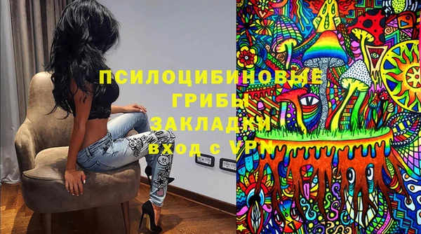 PSILOCYBIN Наволоки