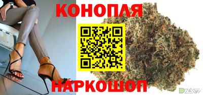 шишки Волгодонск