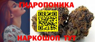 шишки Волгодонск