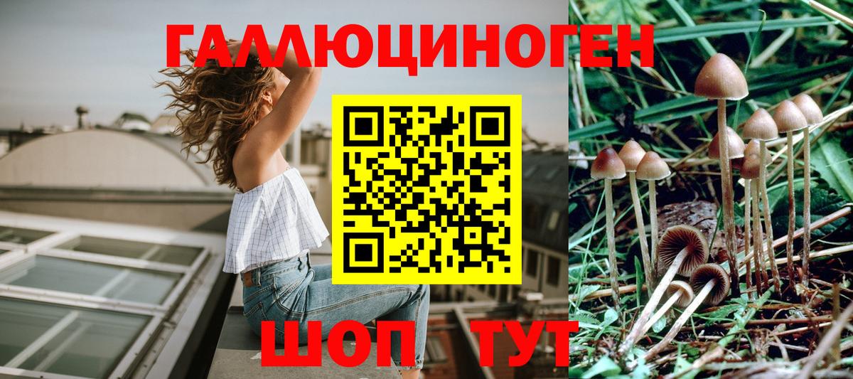 Псилоцибиновые грибы ЛСД Киреевск