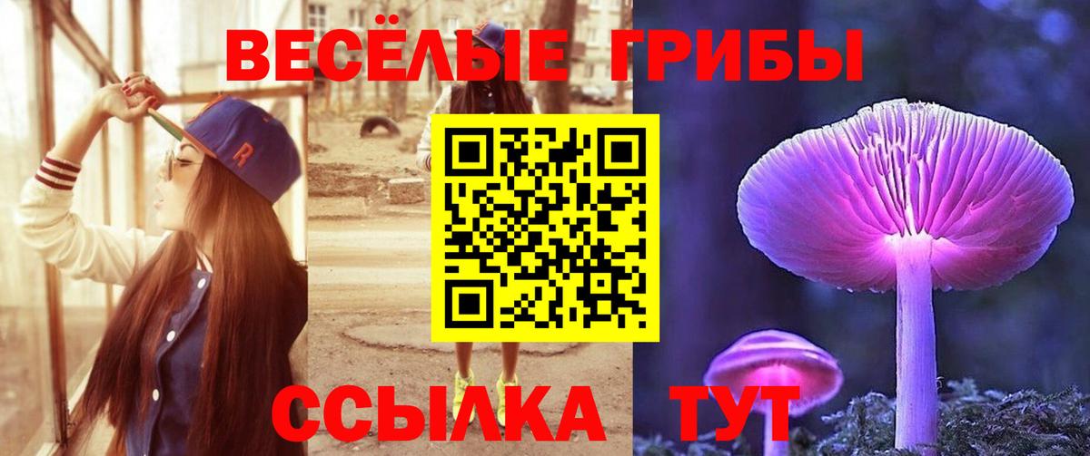 Галлюциногенные грибы Magic Shrooms  Галлюциногенные грибы Magic Shrooms  Вход с VPN  Киреевск 